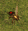Evolved Wasp Bomber